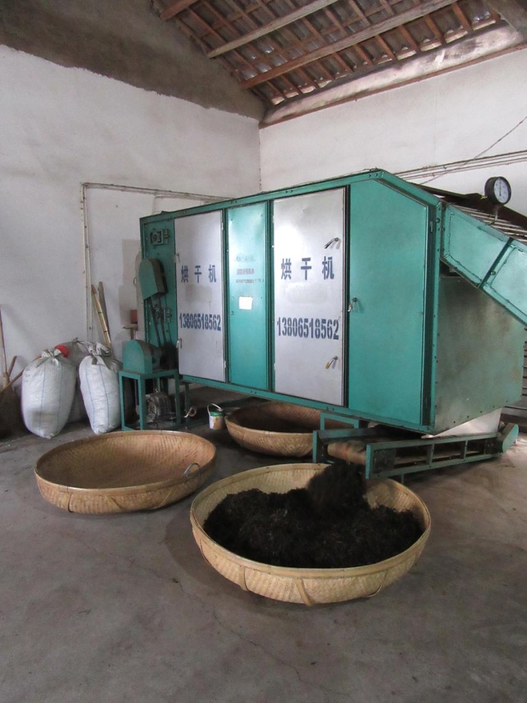 Zpracování čaje ve Wuiy (menší továrnička)